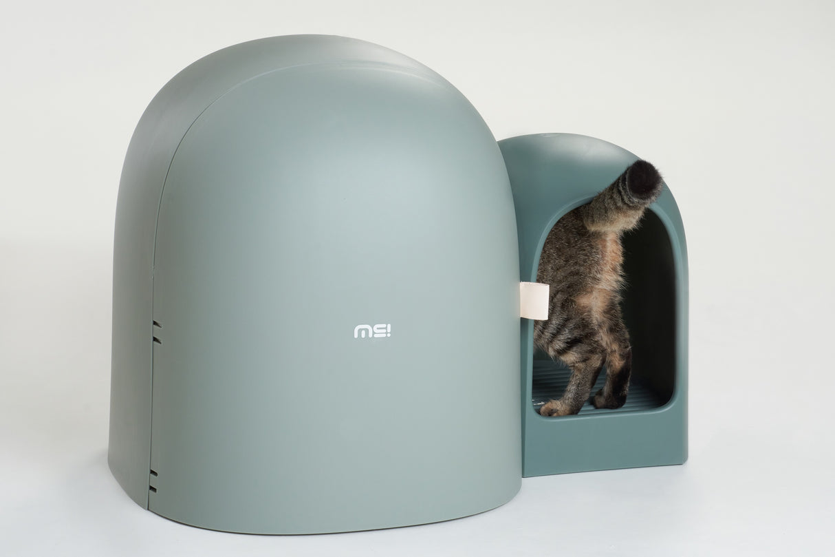 Kattenbak - One Size Fits All - Grote Ruimte - Lekvrij - Geurvrij - Inclusief Kattebakschepje - 67.7x49x50cm (LxBxH) SpirePets