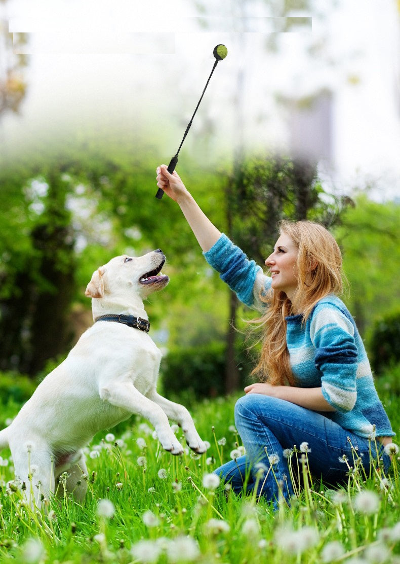 Ballwerfer Hund - Hundespielzeug - Wurfstock - für verschiedene Bälle geeignet - Hundespielzeug - Größe S