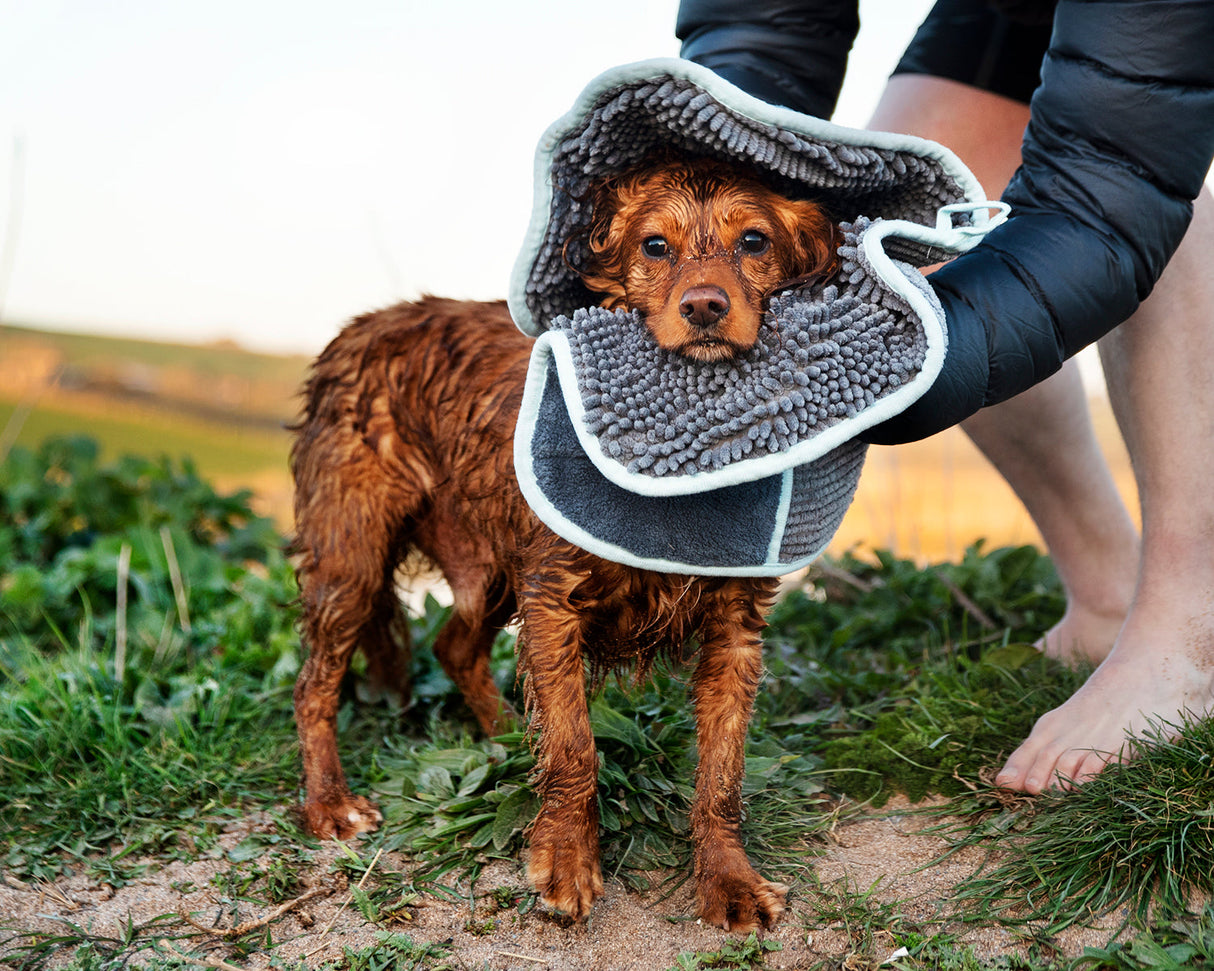 Henry Wag Microvezel huisdier handdoek voor honden en katten - Houd je huisdier snel schoon en droog SpirePets