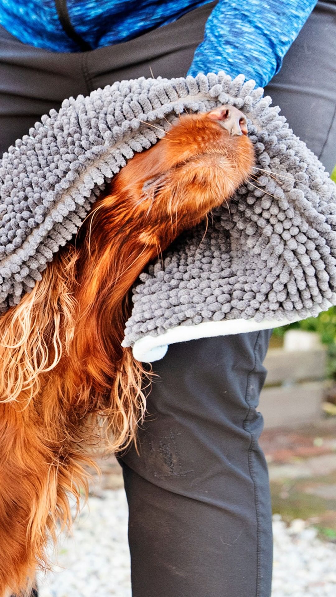 Henry Wag Microvezel huisdier handdoek voor honden en katten - Houd je huisdier snel schoon en droog SpirePets