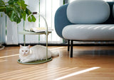 Katten krabmeubel - Krabplank - Groen - Multifunctioneel - One Size Fits All SpirePets