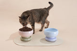 Kattenvoerbak - Verhoogd Ontwerp - Keramische - Roze - Brede Komopening - One Size Fits All SpirePets