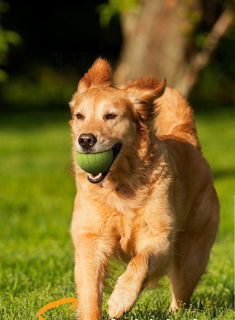 Ballwerfer Hund - Hundespielzeug - Wurfstock - für verschiedene Bälle geeignet - Hundespielzeug - Größe S
