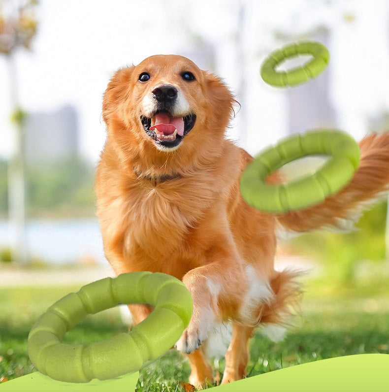 Ballwerfer Hund - Hundespielzeug - Wurfstock - für verschiedene Bälle geeignet - Hundespielzeug - Größe S