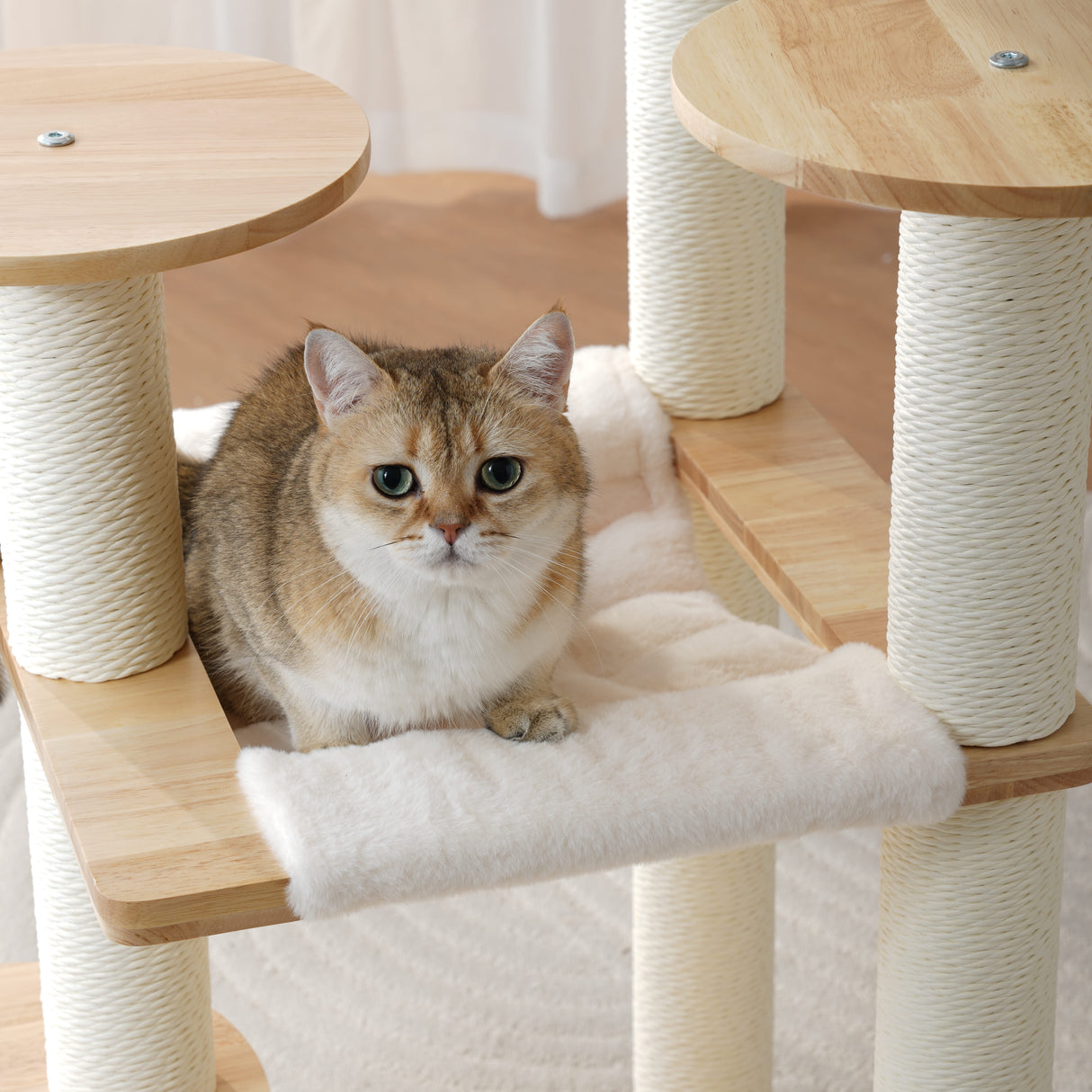 Houten kattenklimrek - krabpaal met hangmat en kattenmand SpirePets