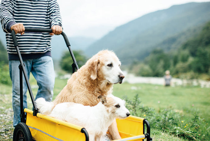 AirBuggy Carriage Set Earth Grey – Honden buggy - Comfortabel reizen met jouw huisdier Airbuggy