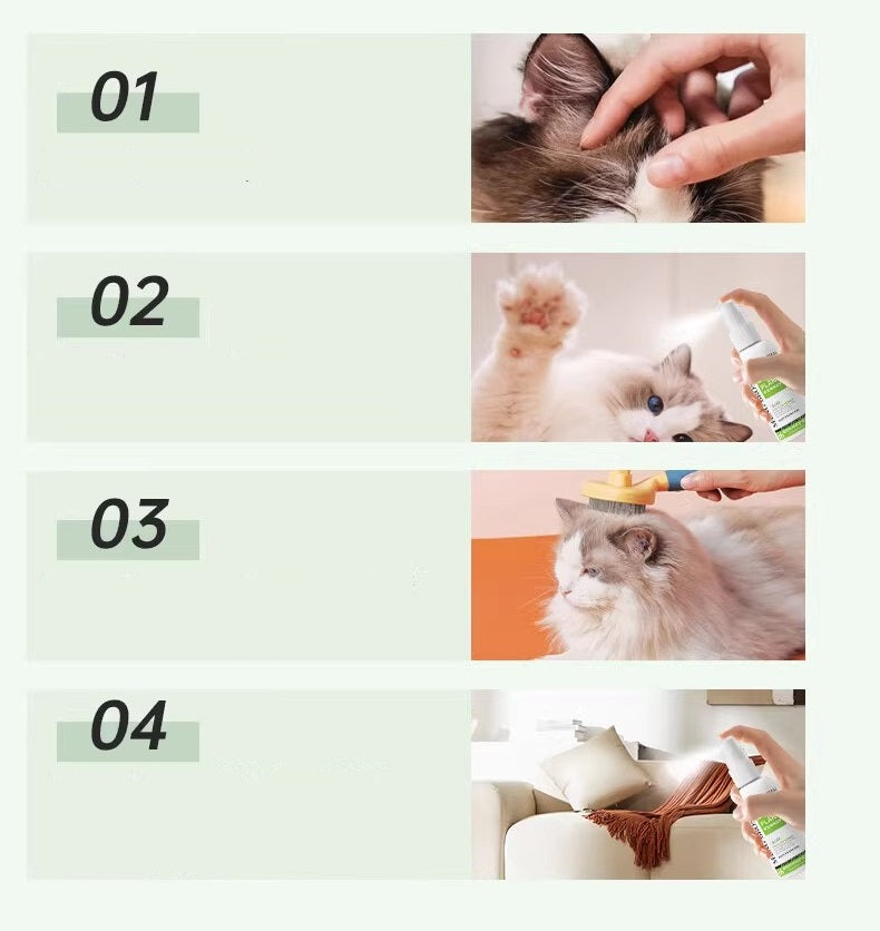Anti Vlooien en teken spray 100 ml - Beschermende spray voor huisdieren