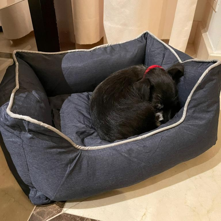 Bora hondenkussen - Hondenmand - antislip bodem - maat S SpirePets