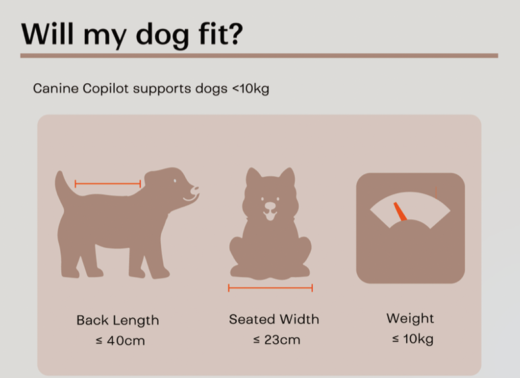 Brooke & Breeze Canine Copilot - Crème Beige Brooke & Breeze