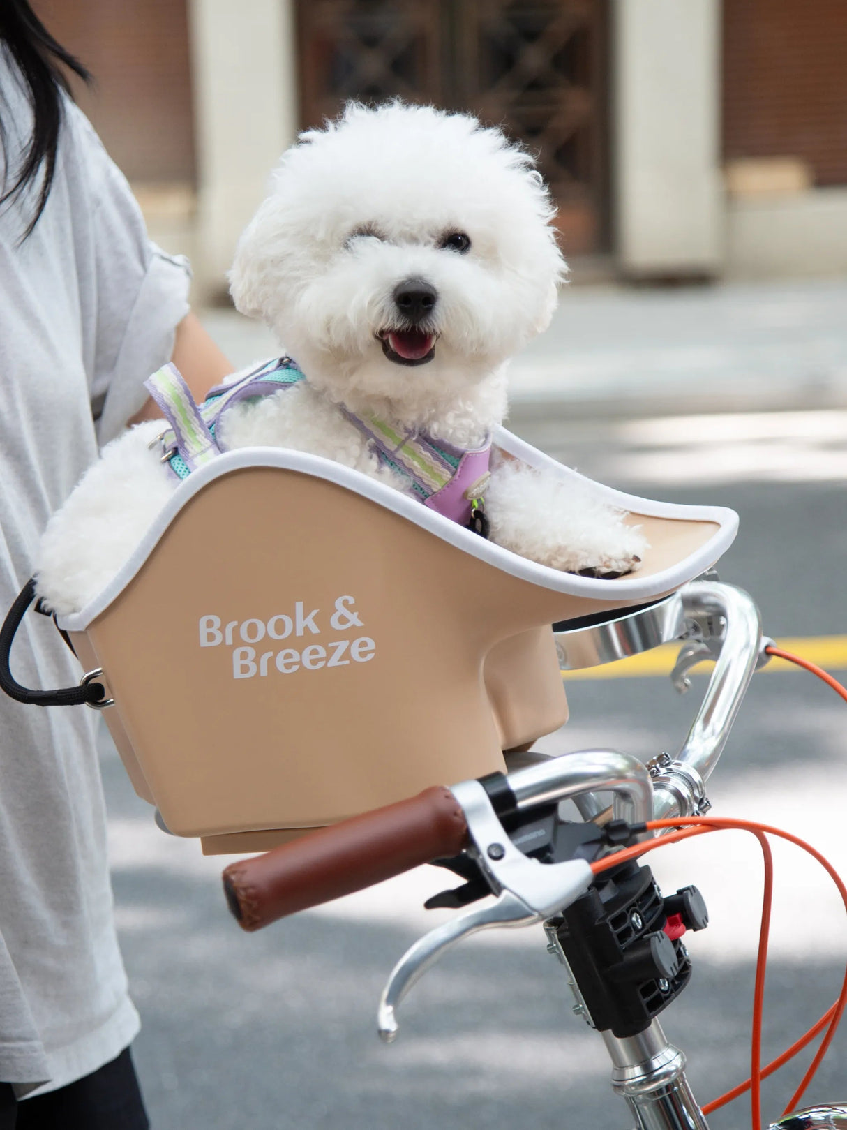 Brooke & Breeze Canine Copilot - Crème Beige Brooke & Breeze