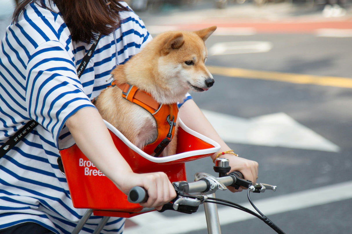 Brooke & Breeze Canine Copilot - Amber Light Orange Brooke & Breeze