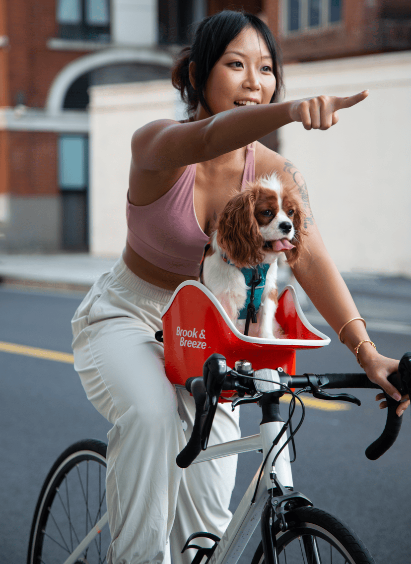 Brooke & Breeze Canine Copilot - Amber Light Orange Brooke & Breeze