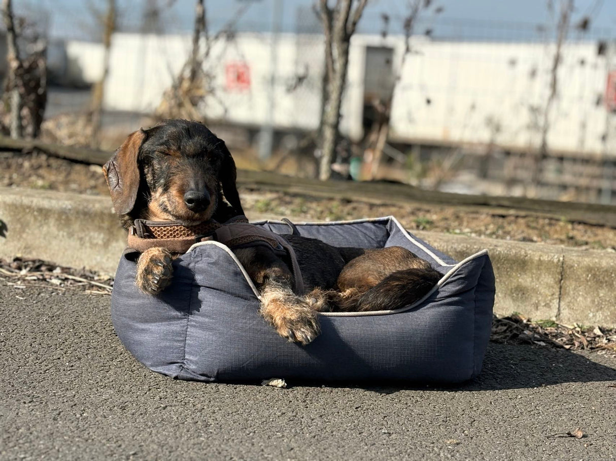 Bora hondenkussen - hondenmand - antislip bodem - maat S SpirePets