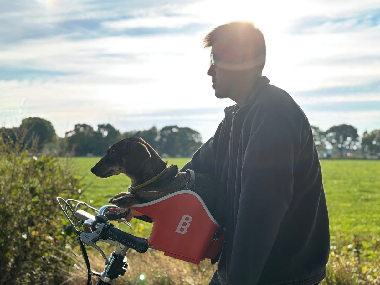 Brooke & Breeze Canine Copilot - Amber Light Orange Brooke & Breeze