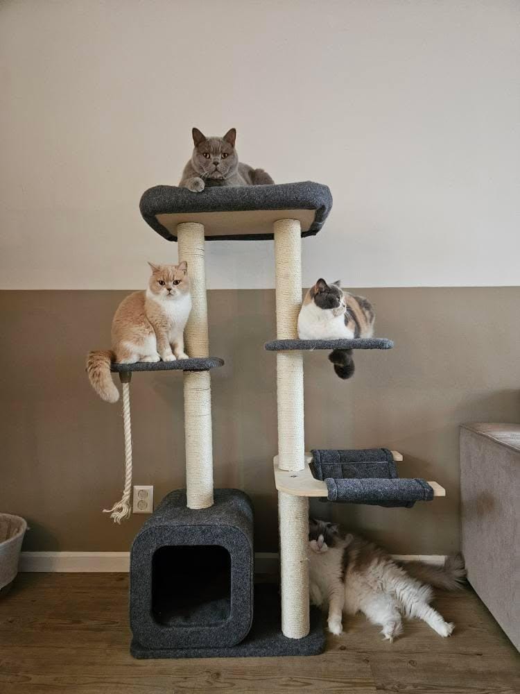 Katten krabpaal Cindy - klimboom - krabmeubel - grijs SpirePets