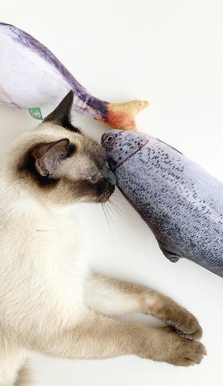 Kattenspeelgoed - Goudvis - Katten Speeltje Vis - Gevuld met kattenkruid - 16 cm SpirePets