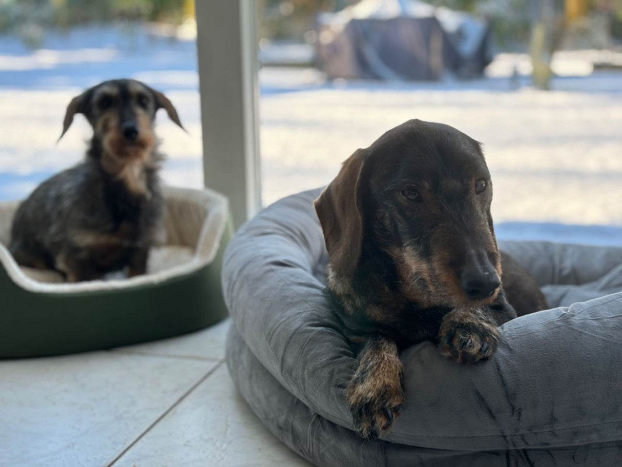 SpirePets Huisdierenbed | Hondenbed | Grijs | Makkelijk Schoon te Maken SPIRE-PETS