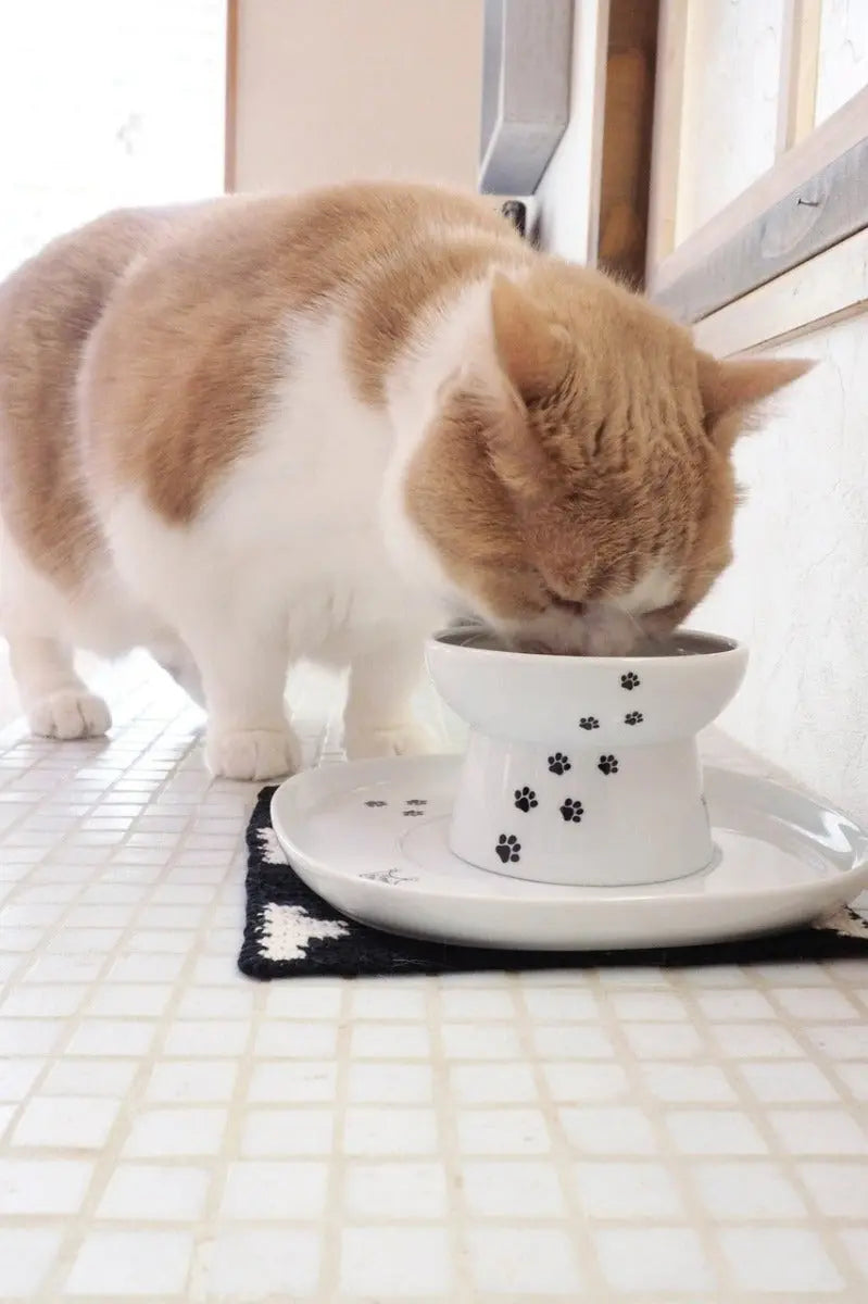 Voerbak dienblad (enkel) schotel voor voer- drinkschaaltje - 19.5 x 19.5 x 2 cm - Keramisch schoteltje Coolgods