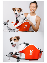 Brooke & Breeze Canine Copilot - Amber Light Orange Brooke & Breeze