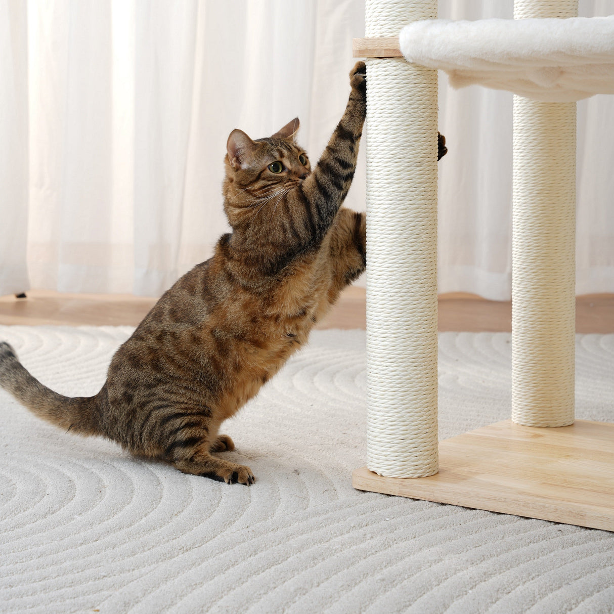 Houten kattenklimrek - krabpaal met hangmat en kattenmand SpirePets