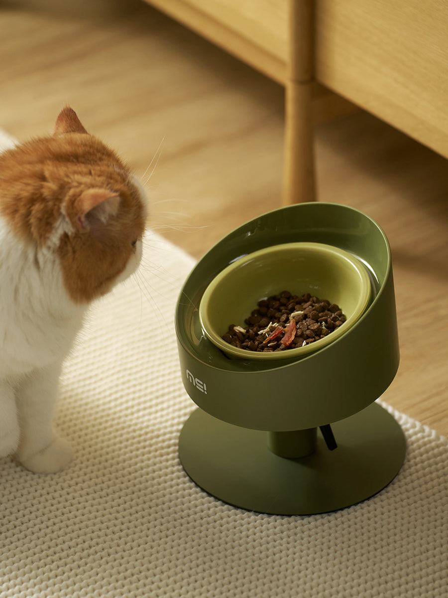 Makesure ergonomisch kattenschaaltje - Keramisch voerbak katten - In hoogte verstelbaar