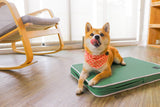Hondenkussen - Slaapkussen voor Huisdieren - Orthopedisch en ademend - 30x22x6cm (LxBxH)) SpirePets