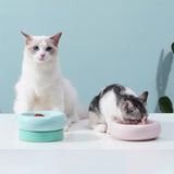 Katten voerbak - Drinkbak voor katten - Verhoogd ontwerp - One Size Fits All - Kleur Blauw