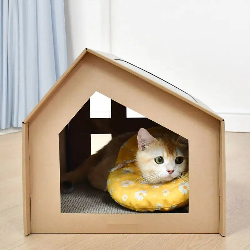 Maison de chat crabe-maison de jeu | Cottage pour chats et chats | 50x32x40cm