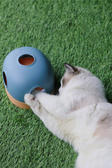 Kattenspeelgoed - Puzzel - Geschikt voor alle katten - Flexibele en interactieve speelconfiguraties