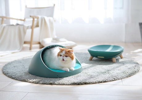 Kattenmand - Kattenbed - 4 in 1 ontwerp - Schommel -  One Size Fits All SpirePets