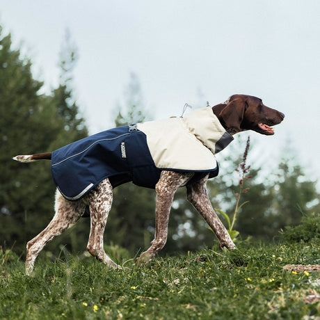 Hondenjas - Regenjas Hond - Waterdicht - Winddicht- Lichtgewicht - Kleur Blauw - Maat M - 40x53x44~66cm SpirePets