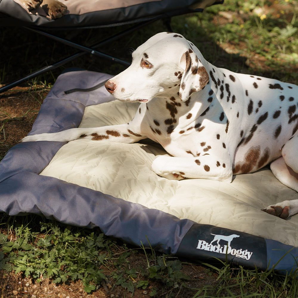 Honden Campingbed voor buiten - Waterdicht - Oprolbaar - Donkerblauw - Maat L