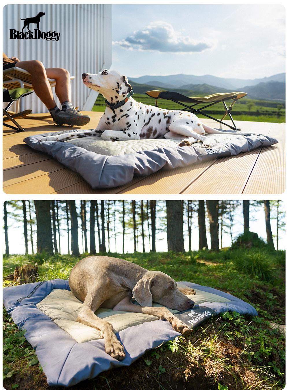 Honden Campingbed voor buiten - Waterdicht - Oprolbaar - Donkerblauw - Maat L
