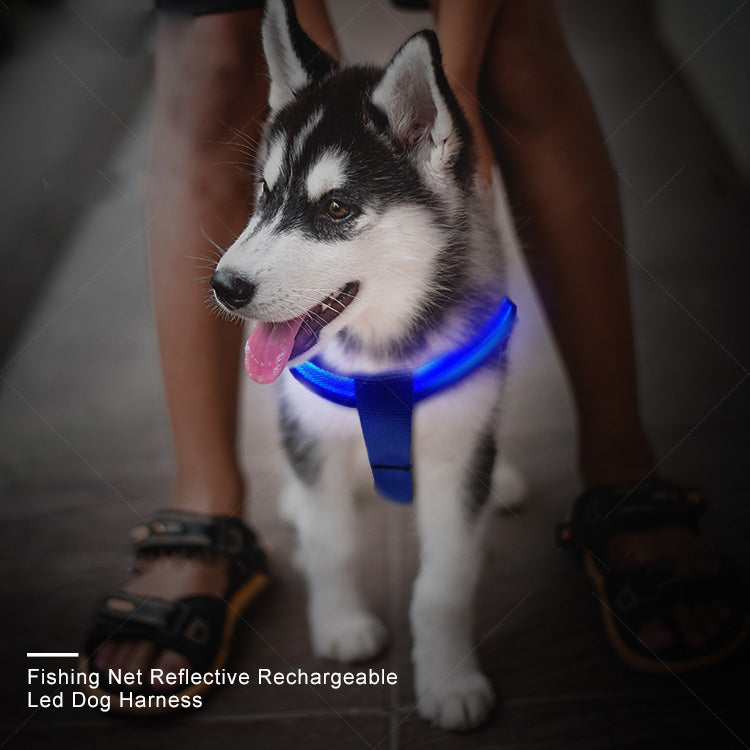 Hondentuig met verlichting - Hondenharnas - Blauw - Middelgrote hondenrassen - Maat M SPIRE-PETS