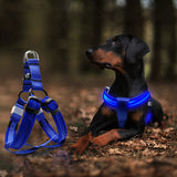Hondentuig met verlichting - Hondenharnas - Blauw - Middelgrote hondenrassen - Maat M