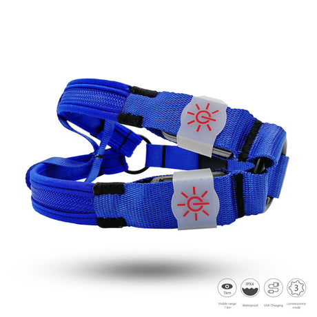 Dog harness with lighting - Dog harness - Blue - Medium dog breeds - Size M