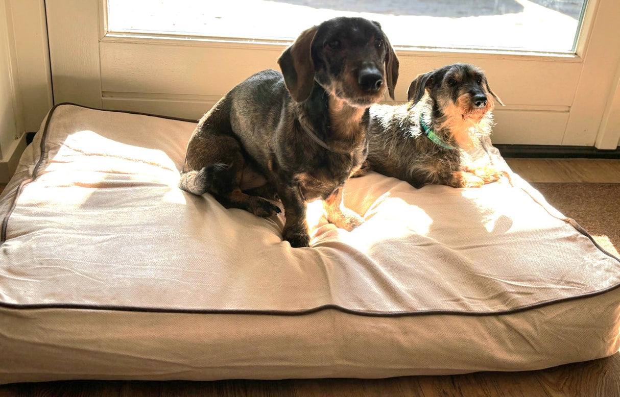 Comfortable Rudy Dog Cushion | White | Dog sofa | Non-slip bottom | Soft polyester sponge | Easy to clean | 100 x 70 x 16 cm