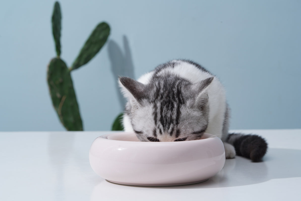 Kattenvoerbak - Katten Drinkbak - Verhoogd ontwerp - One Size Fits All - Kleur Roze