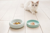 Katten voerbak - Drinkbak voor katten - Verhoogd ontwerp - One Size Fits All - Kleur Blauw - 16.6x16.6x8cm (LxBxH) SpirePets