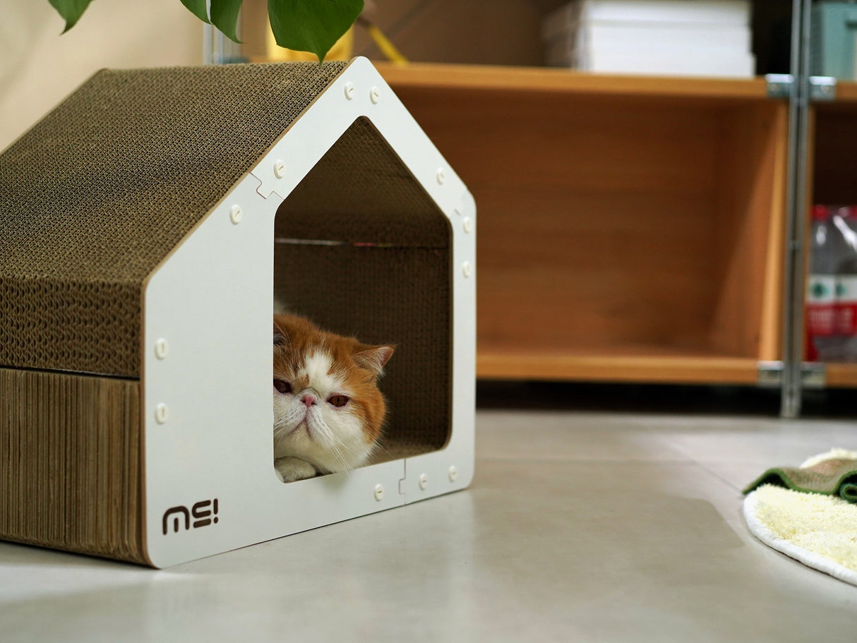 Kattenhuis - Krabmeubel - Karton - Geschikt voor katten < 7kg - Wit