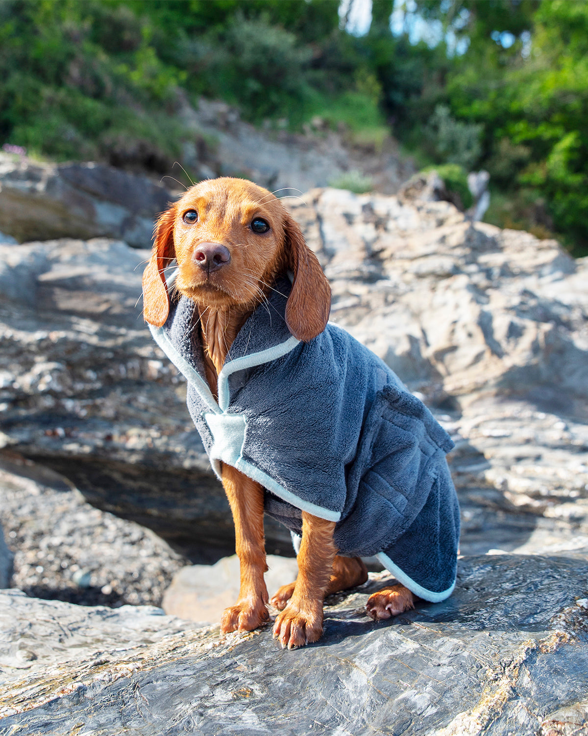 Henry Wag microvezel hondenbadjas - droogjas voor honden - Maat S Coolgods.nl