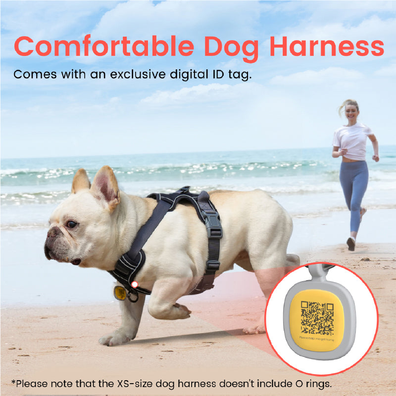 Hondenharnas/hondentuig - Anti-trek tuig - Reflecterend - Verstelbaar - Maat L - Grijs SpirePets