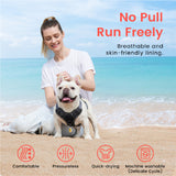 Hondenharnas/hondentuig - Anti-trek tuig - Reflecterend - Verstelbaar - Maat XL - Grijs SpirePets