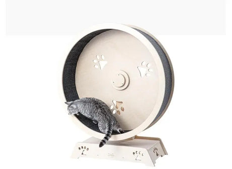 Katten loopwiel - looprad voor katten - kattenwiel van massief berken hout - maat M