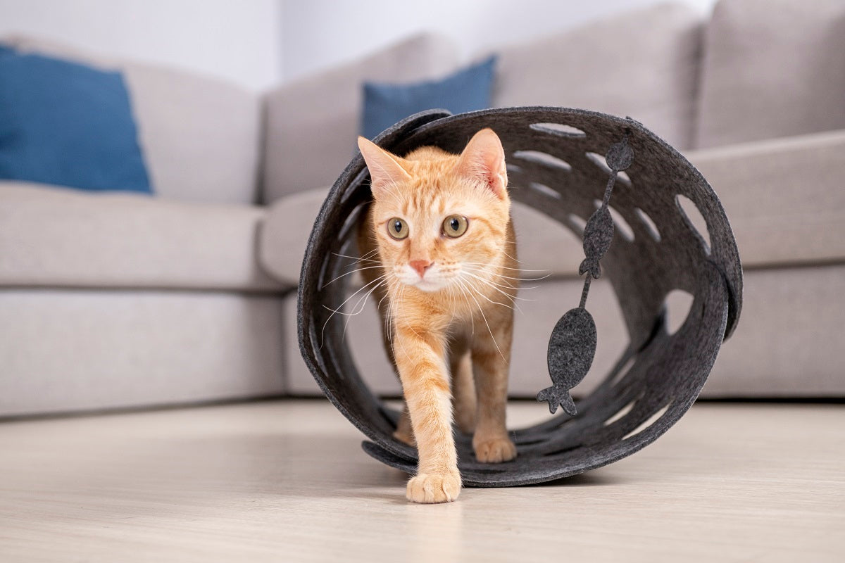 Kattentunnel van Vilt - speelgoed voor katten - speeltunnel huisdieren 63x40cm