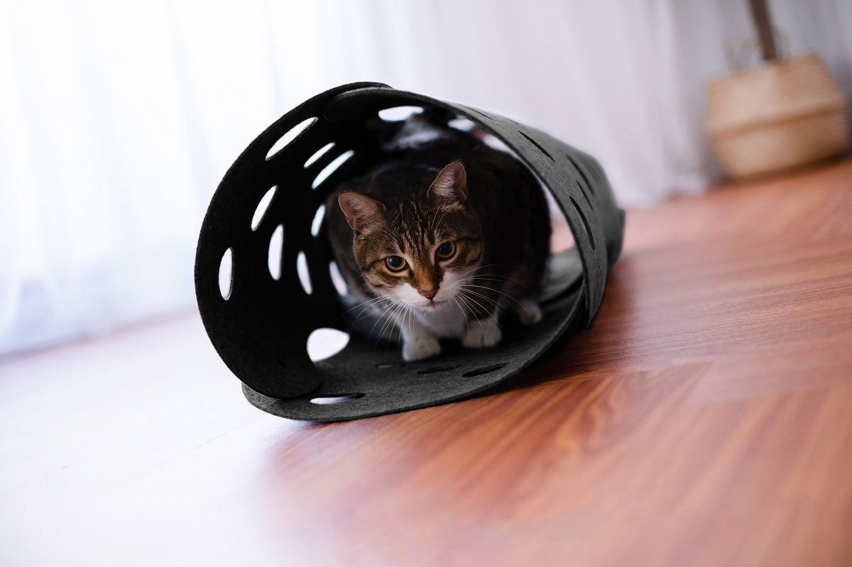 Kattentunnel van Vilt - speelgoed voor katten - speeltunnel huisdieren 63x40cm Coolgods