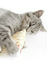 Kattenspeelgoed - Goudvis - Katten Speeltje Vis - Gevuld met kattenkruid - 16 cm