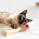 Kattenspeelgoed - Goudvis Ontwerp - Gemaakt van Maïskolf - Duurzame Materialen SpirePets