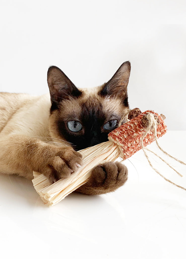 Kattenspeelgoed - Goudvis Ontwerp - Gemaakt van Maïskolf - Duurzame Materialen SpirePets