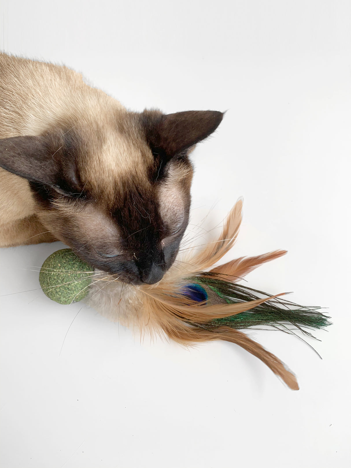 Kattenspeelgoed - Kattenveer - Pauw Shuttlebal - Handgemaakt katten speelgoed SpirePets